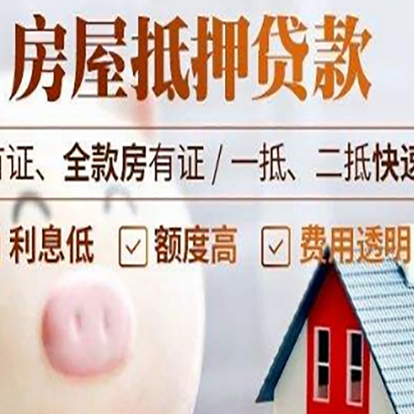 攸县贷款助贷公司新渝启服成立时间久