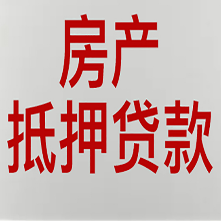 攸县贷款公司新渝启服推荐选择